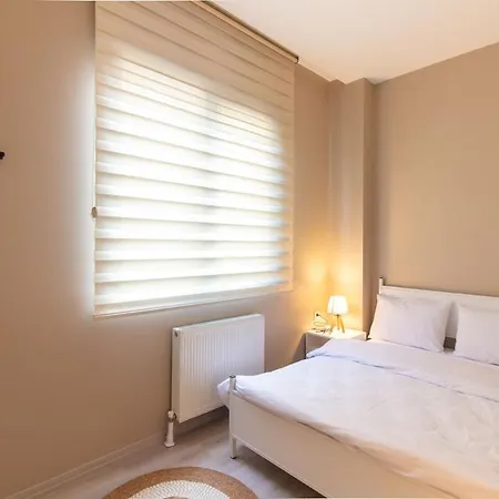 Beautifully Designed 3br Duplex In Prime Goektuerk Appartement